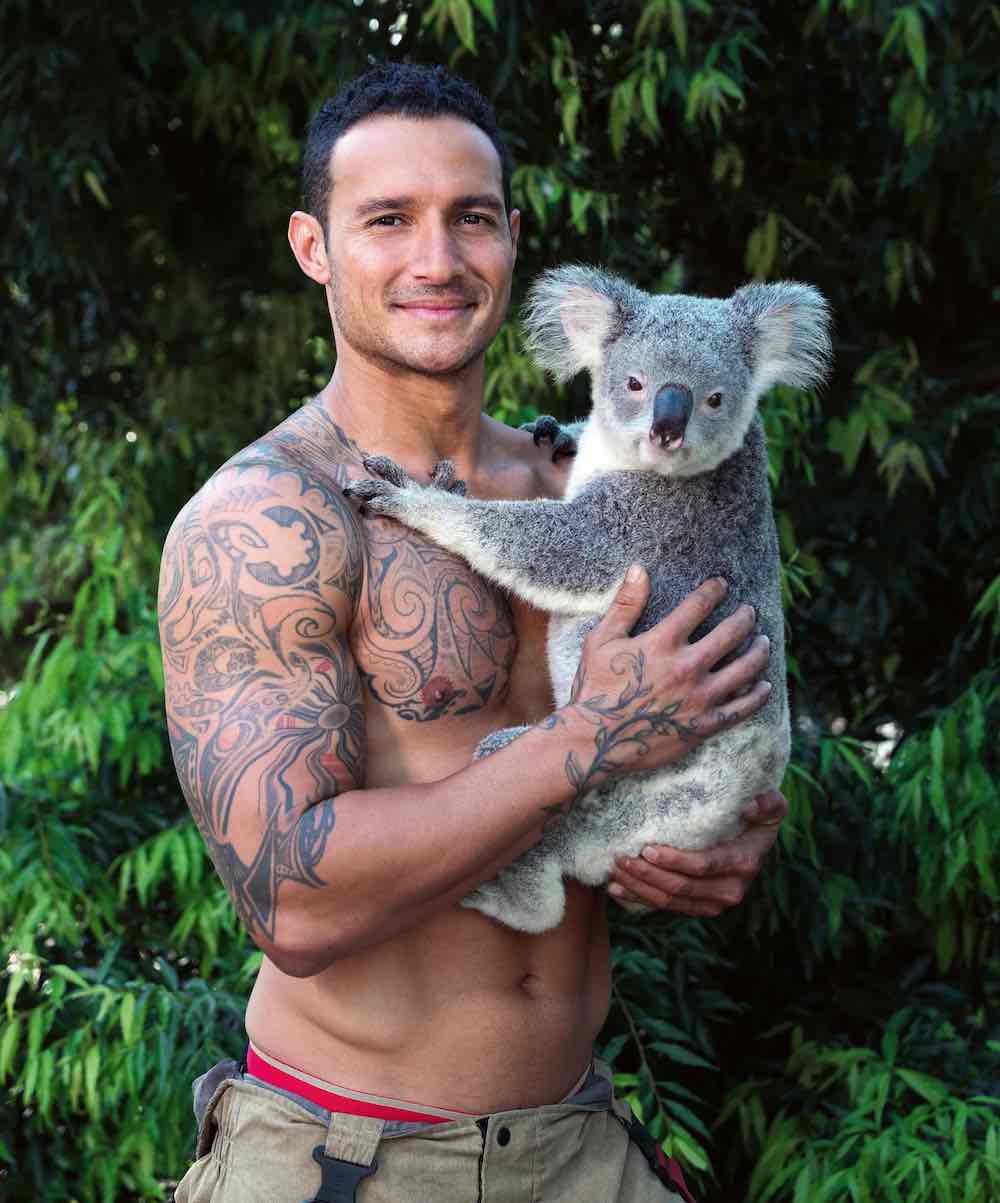 Queensland Koala Society