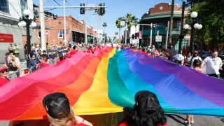 Tampa Pride Cancels All 2026 Events and Parts Ways With President 